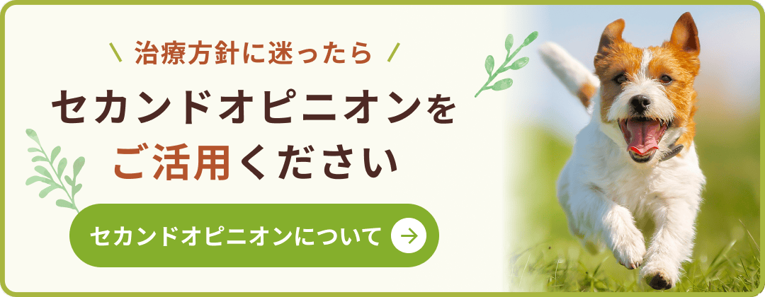 治療方針に迷ったら、セカンドピニオンをご活用ください。詳しくはこちらから