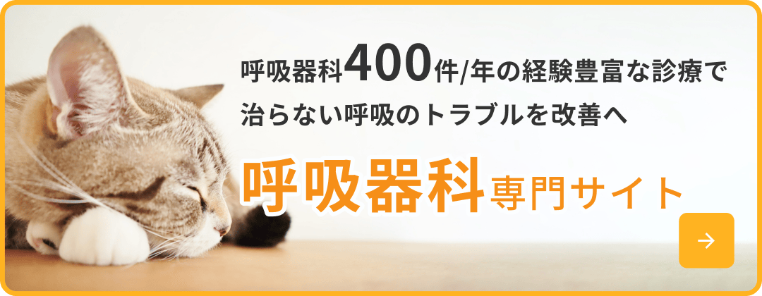 呼吸器専門サイト